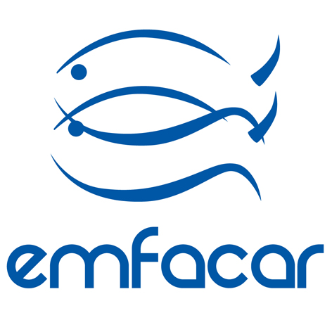 EMFACAR S.L.